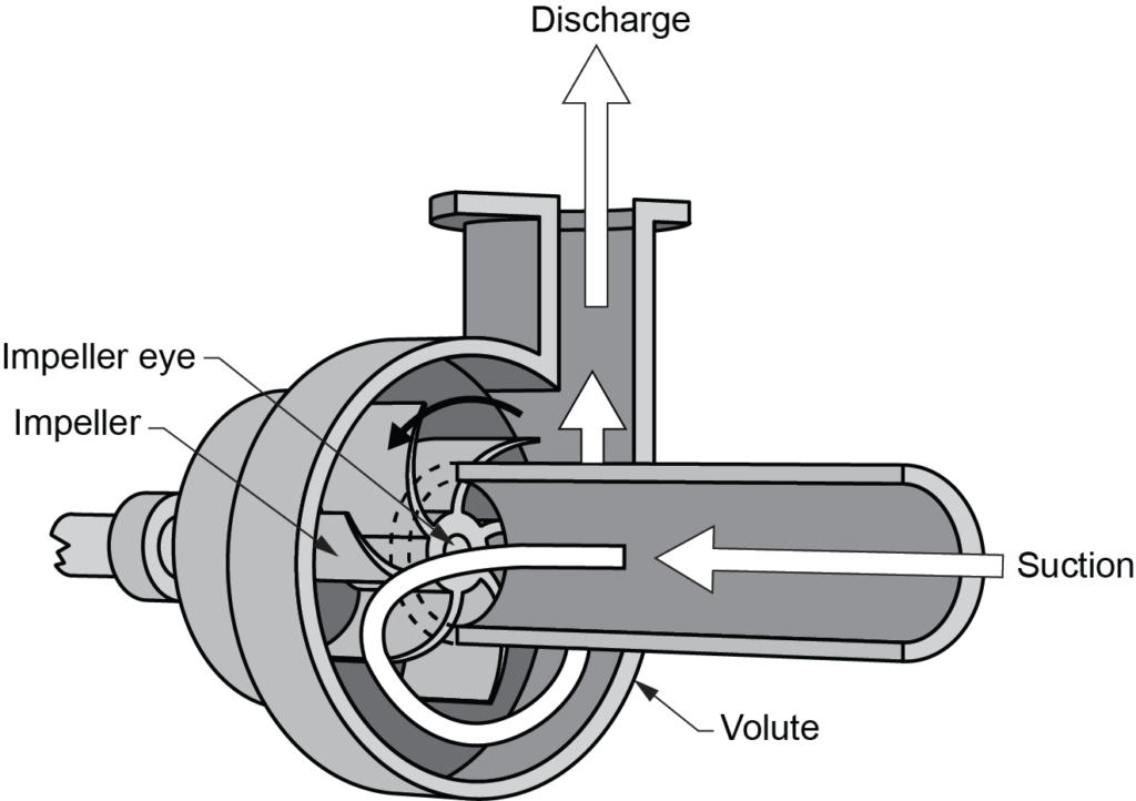centrifugal pump labelled illustration showing the impeller eye and the volute