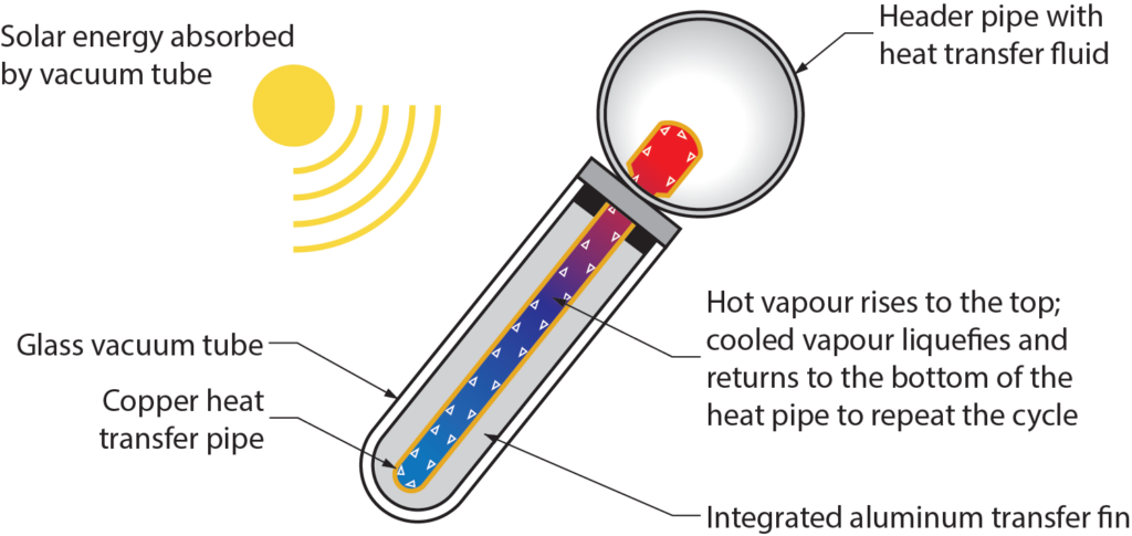 evacuated-tube collector labelled diagram showing vapour flowing through the pipe repeating the cycle